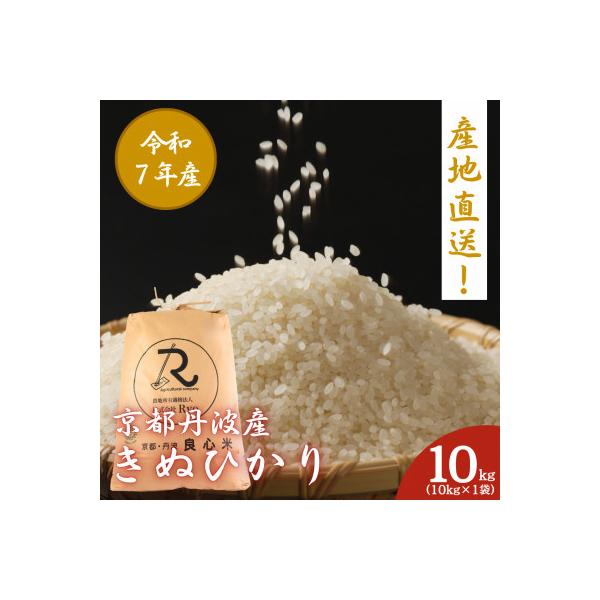 令和7年産 キヌヒカリ 精米 10kg 京都丹波産