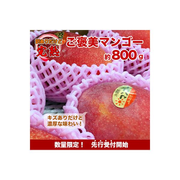 ■お礼品詳細　・配送種別：冷蔵便　・提供元：一般社団法人　南城市観光協会地域物産館■お申し込み・配送・その他　・発送時期：2026-06-22〜2026-07-31(お届け時間帯指定可)　・申込受付期間：〜2026-03-31　・配達外のエ...