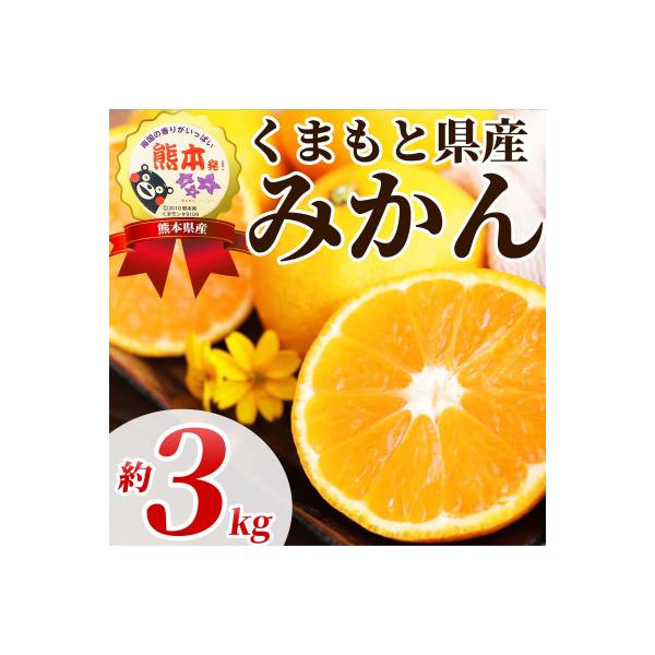 長洲町 温州みかん 2S-2L 約3kg(長洲町)