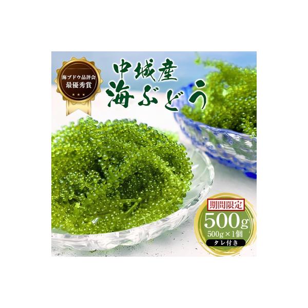 【沖縄から産地直送】県産海ぶどう品評会最優秀賞受賞!ちゅら海ぶどう500g×1箱