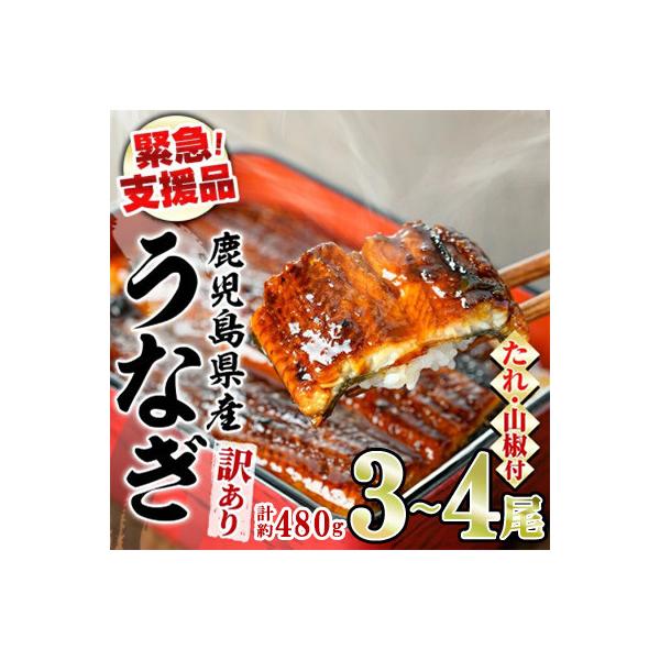 【緊急支援品】《訳あり・数量限定》鰻の蒲焼き(無頭)(3～4尾・計約480g) 【アクアおおすみ】