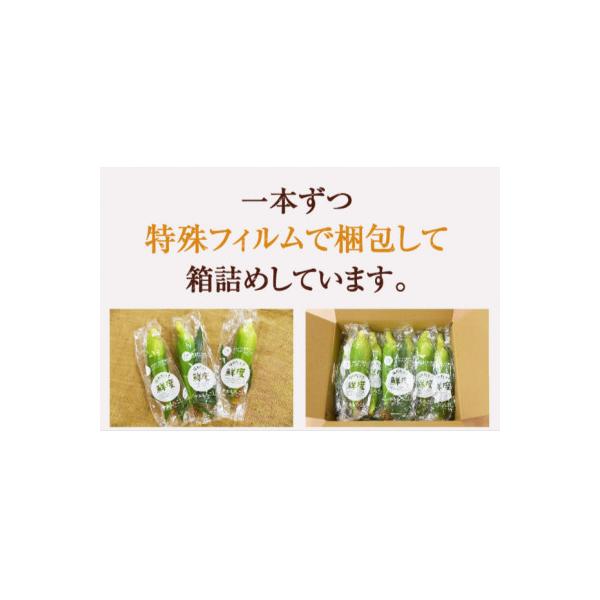 ■お礼品詳細　・配送種別：冷蔵便　・提供元：タツジンマーケット■お申し込み・配送・その他　・発送時期：2026-06-15〜2026-07-31(お届け時間帯指定可)　・申込受付期間：〜2026-06-30　・配達外のエリア：離島　・寄付証...