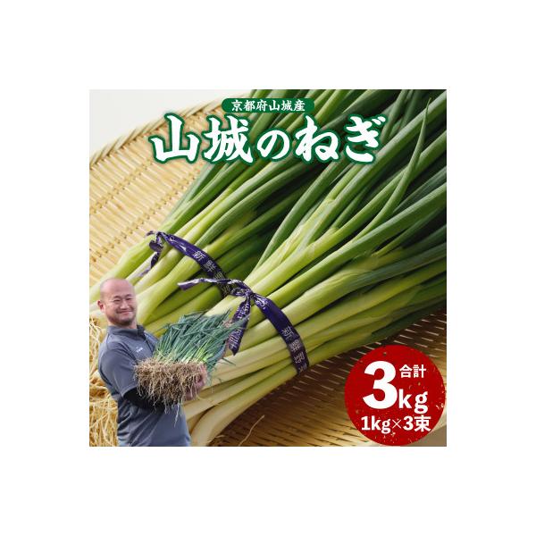 ■お礼品詳細　・配送種別：冷蔵便　・提供元：株式会社　秋田農園■お申し込み・配送・その他　・発送時期：お申込みから1週間程度で順次発送(お届け時間帯指定可)　・申込受付期間：通年　・配達外のエリア：離島　・寄付証明書の送付時期目安：申込完了...