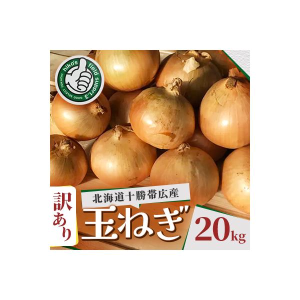 【訳あり】北海道 十勝 帯広産 玉ねぎ 20kg