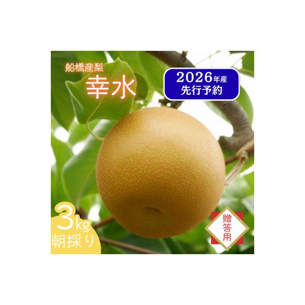 ■お礼品詳細　・配送種別：通常　・提供元：エコチョク■お申し込み・配送・その他　・発送時期：2026-08-08〜2026-09-20(お届け時間帯指定可)　・申込受付期間：〜2026-08-02　・配達外のエリア：　・寄付証明書の送付時期...