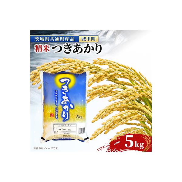 【令和7年産】つきあかり 5kg 精米 清らかな水田 の 米 (茨城県共通返礼品/城里町)