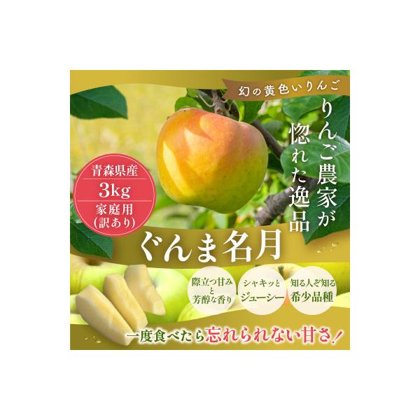 【26年11月~27年3月出荷】平均糖度13度以上! ぐんま名月 約3kg 訳あり りんご 青森県産