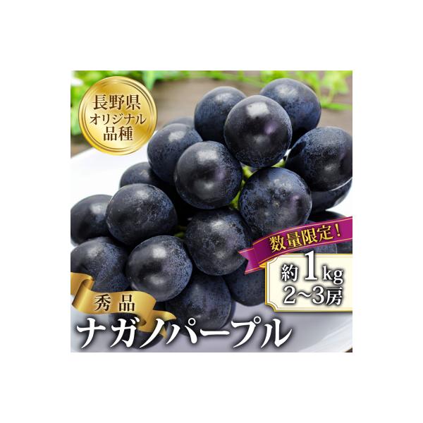 【2026年先行予約】ナガノパープル 約1kg(2～3房 ※最低900g以上)