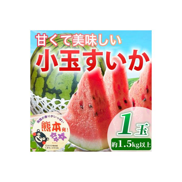 菊池市 【先行予約】 熊本県産 甘い! シャリ感! 小玉すいか スイカ 約1.5kg以上(1玉入り 3L)
