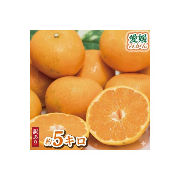 【訳あり】 愛媛みかん約5Kg