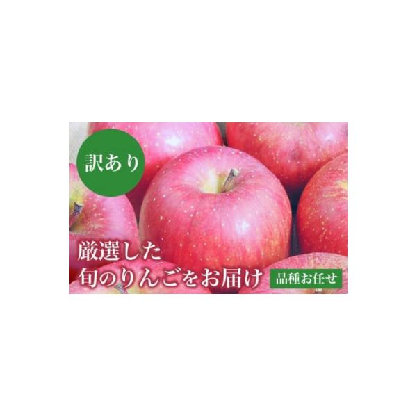 [訳あり] 旬のりんご 約3kg 6～14玉