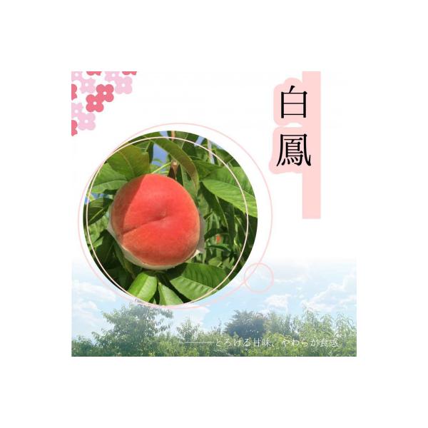 ■お礼品詳細　・配送種別：通常　・提供元：株式会社Ｋａｔｅｒｉａｌ（笛吹市）■お申し込み・配送・その他　・発送時期：2026/07/01〜2026/07/10(お届け時間帯指定可)　・申込受付期間：〜2026-06-26　・配達外のエリア：...