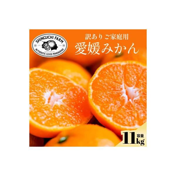 今シーズン発送開始!【訳あり】愛媛みかん 11kg 愛媛県産【C70-136】