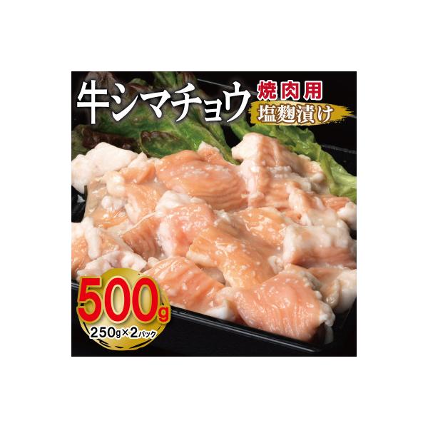 牛シマチョウ 焼肉用 塩麹漬け お試し 合計500g 味付け 小分け 牛肉ホルモン 099H4210