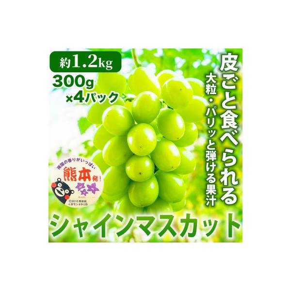 熊本市 熊本産 甘みが強く香り高いぶどう! シャインマスカット 約1.2kg 300g×4P(熊本市)