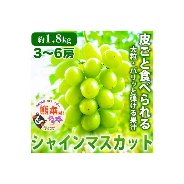 熊本市 熊本産 甘みが強く香り高いぶどう! シャインマスカット 約1.8kg 3〜6房(熊本市)