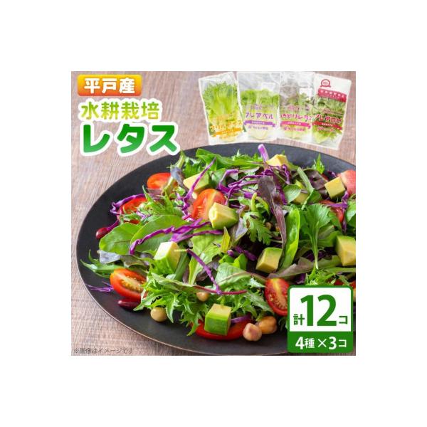 ■お礼品詳細　・配送種別：冷蔵便　・提供元：平戸瀬戸市場協同組合（モロフジファーム株式会社）■お申し込み・配送・その他　・発送時期：2026-01-11より順次発送 ※生産・天候・交通等の事情により遅れる場合があります。　・申込受付期間：通...