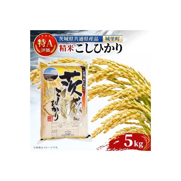【令和7年産】特A評価 茨城県産 お米 コシヒカリ 精米 5kg (茨城県共通返礼品/城里町)