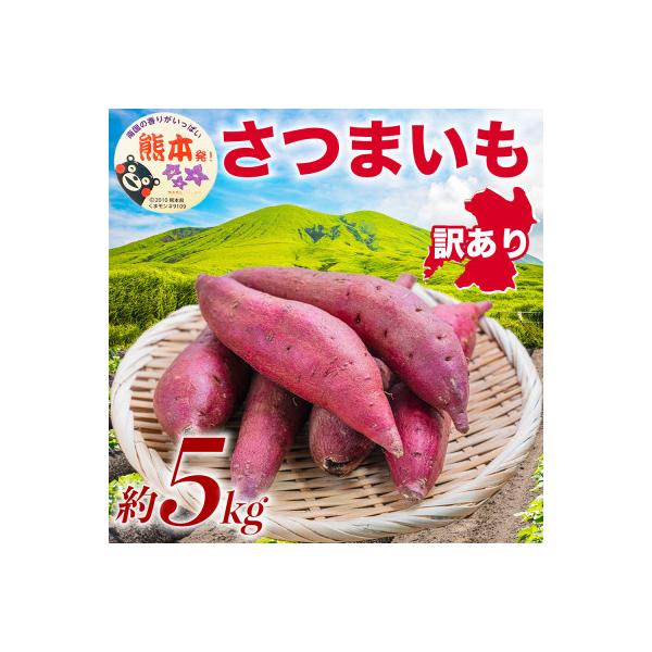 西原村産 さつまいも 約5kg