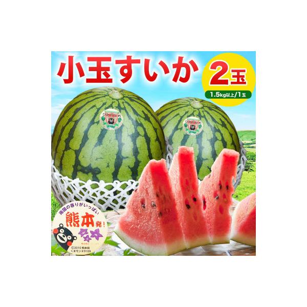 山鹿市 【先行予約】 熊本県産 高糖度! 酷暑対策に! 小玉すいか スイカ 2玉入り 約3kg以上
