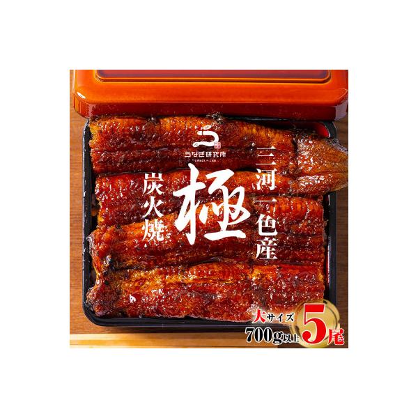 三河一色産うなぎ蒲焼大5尾(計700g以上)・R043-35