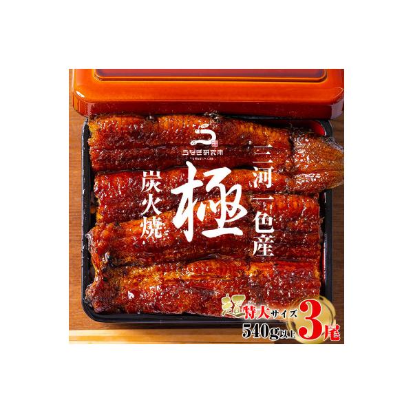 三河一色産うなぎ蒲焼超特大3尾(計540g以上)・R047-26
