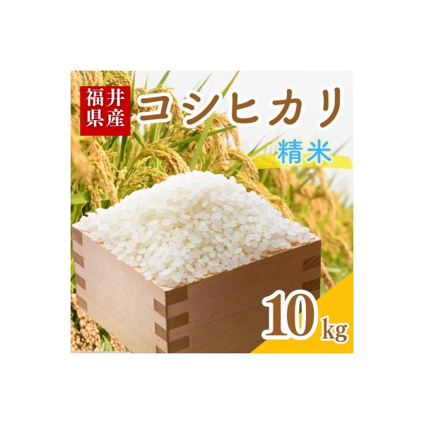 【令和7年産】福井県産こしひかり白米10kg