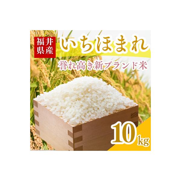【令和7年産】福井県産いちほまれ白米10kg