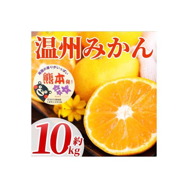 水俣市産 みかん 約10kg
