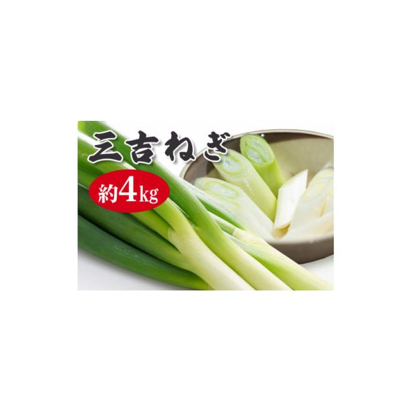 ■お礼品詳細　・配送種別：冷蔵便　・提供元：小野瀬農園■お申し込み・配送・その他　・発送時期：2025/12/09〜2026/04/30　・申込受付期間：〜2026-04-10　・配達外のエリア：離島　・寄付証明書の送付時期目安：申込完了日...