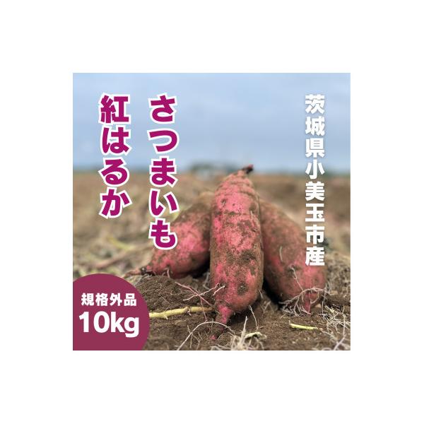 茨城県産さつまいも 紅はるか 10kg(訳あり・無選別)