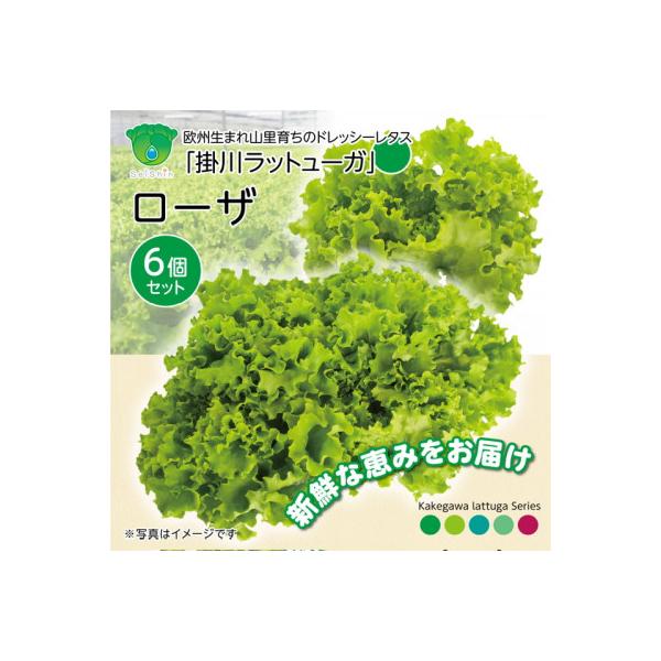 ■お礼品詳細　・配送種別：冷蔵便　・提供元：有限会社成神工業■お申し込み・配送・その他　・発送時期：2025-12-06〜2027-05-31(お届け時間帯指定可)　・申込受付期間：〜2027-05-26　・配達外のエリア：離島、北海道、沖...