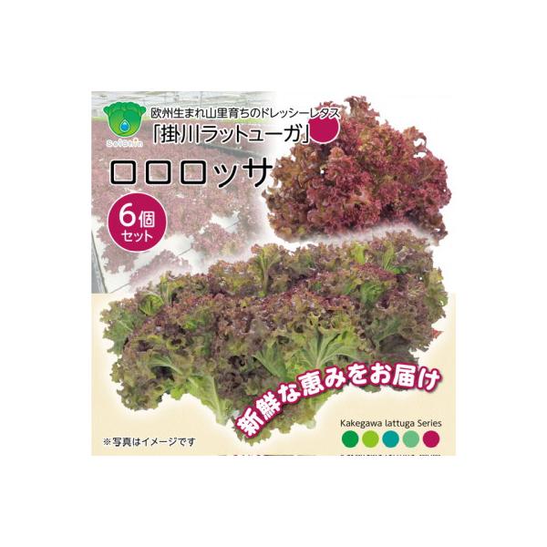 ■お礼品詳細　・配送種別：冷蔵便　・提供元：有限会社成神工業■お申し込み・配送・その他　・発送時期：2025-12-08〜2027-05-31(お届け時間帯指定可)　・申込受付期間：〜2027-05-26　・配達外のエリア：離島、北海道、沖...