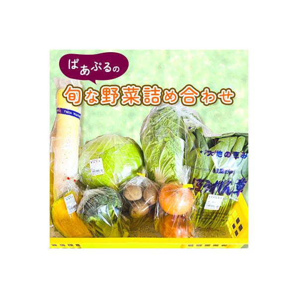 ぱあぷるの旬な野菜詰め合わせ