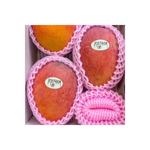 ■お礼品詳細　・配送種別：冷蔵便　・提供元：ＩＲＩＥ　ＦＡＲＭ■お申し込み・配送・その他　・発送時期：2026-07-01〜2026-08-15(お届け時間帯指定可)　・申込受付期間：〜2026-07-12　・配達外のエリア：離島　・寄付証...