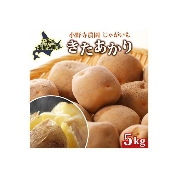 ■お礼品詳細　・配送種別：通常　・提供元：日本ふるさと創生株式会社（小野寺農園）■お申し込み・配送・その他　・発送時期：2026/09/20〜2026/12/15(お届け時間帯指定可)　・申込受付期間：〜2026-10-31　・配達外のエリ...