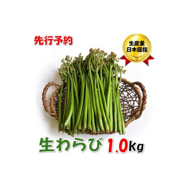 ■お礼品詳細　・配送種別：冷蔵便　・提供元：株式会社小国町地域総合商社■お申し込み・配送・その他　・発送時期：2026-04-27〜2026-05-29　・申込受付期間：〜2026-04-26　・配達外のエリア：離島　・寄付証明書の送付時期...