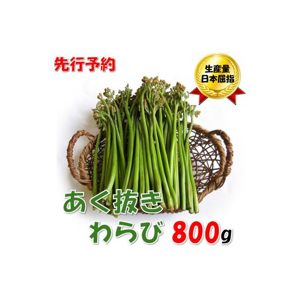 ■お礼品詳細　・配送種別：冷蔵便　・提供元：株式会社小国町地域総合商社■お申し込み・配送・その他　・発送時期：2026-04-27〜2026-05-29　・申込受付期間：〜2026-04-26　・配達外のエリア：離島　・寄付証明書の送付時期...