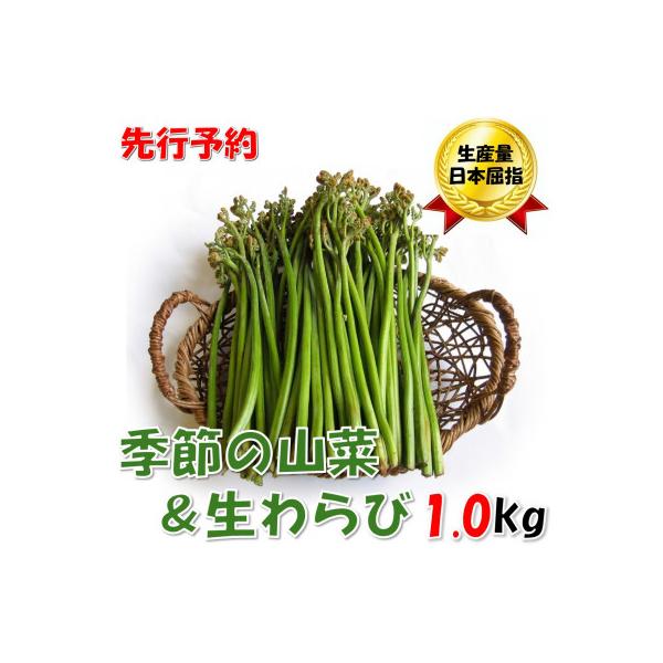 ■お礼品詳細　・配送種別：冷蔵便　・提供元：株式会社小国町地域総合商社■お申し込み・配送・その他　・発送時期：2026-04-20〜2026-05-29　・申込受付期間：〜2026-04-19　・配達外のエリア：離島　・寄付証明書の送付時期...