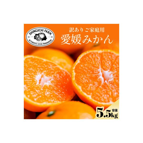 今シーズン発送開始!【訳あり】愛媛みかん 5.5kg 愛媛県産【A70-149】