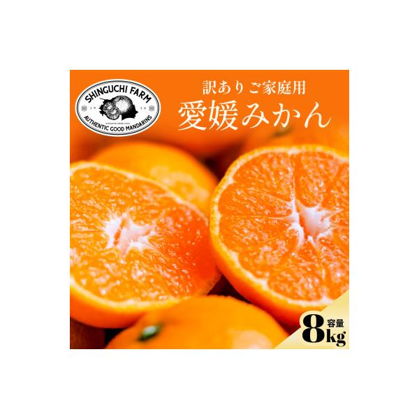 今シーズン発送開始!【訳あり】愛媛みかん 8kg 愛媛県産【C70-150】