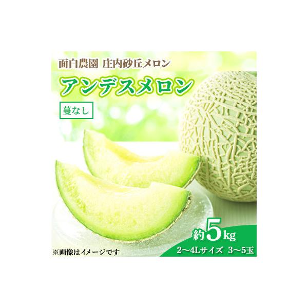 ■お礼品詳細　・配送種別：通常　・提供元：面白農園■お申し込み・配送・その他　・発送時期：2026-06-25〜2026-07-31(お届け時間帯指定可)　・申込受付期間：〜2026-07-15　・配達外のエリア：離島、沖縄県　・寄付証明書...