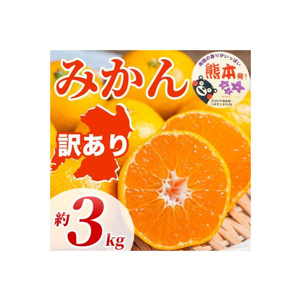 宇城市産 みかん 約3kg