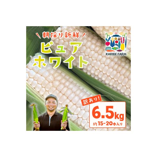 【訳あり】下妻朝採りとうもろこし(ピュアホワイト)約6.5kg 約15-20本入 6月下旬から発送