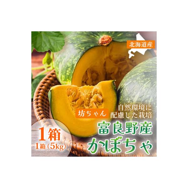 ■お礼品詳細　・配送種別：通常　・提供元：守田農園■お申し込み・配送・その他　・発送時期：2026-09-15〜2026-10-15(お届け時間帯指定可)　・申込受付期間：〜2026-09-30　・配達外のエリア：　・寄付証明書の送付時期目...