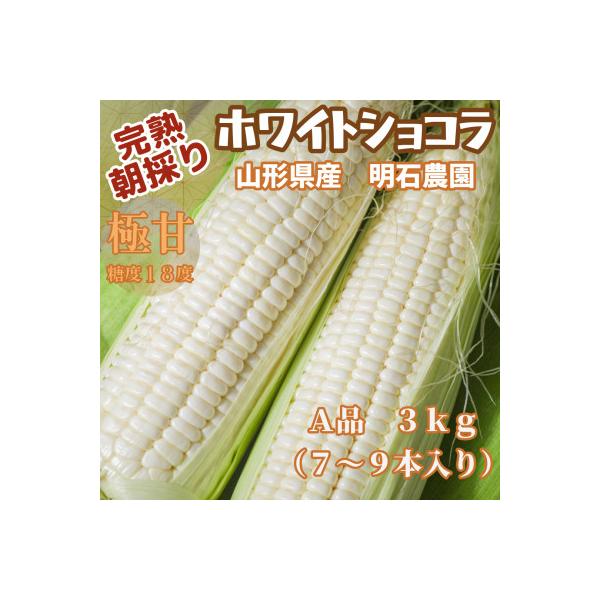 ■お礼品詳細　・配送種別：冷蔵便　・提供元：ペイスマルシェ■お申し込み・配送・その他　・発送時期：2026/09/14〜2026/10/10(お届け時間帯指定可)　・申込受付期間：2026-01-22〜2026-09-20　・配達外のエリア...