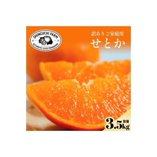 【先行受付】訳ありだけど美味しさそのまま【訳あり】せとか 3.5kg【C70-156】