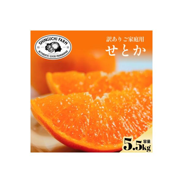 【先行受付】訳ありだけど美味しさそのまま【訳あり】せとか 5.5kg【D70-157】