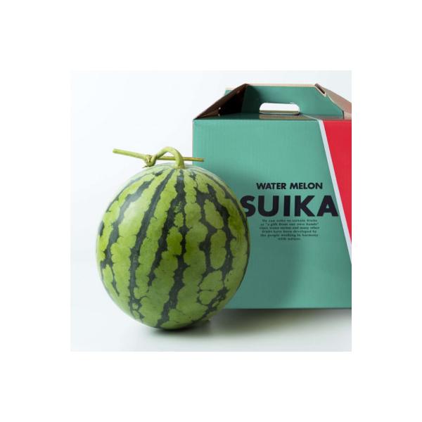 ■お礼品詳細　・配送種別：通常　・提供元：株式会社　坂口農産■お申し込み・配送・その他　・発送時期：2026-06-25〜2026-08-28　・申込受付期間：2026-02-01〜2026-07-15　・配達外のエリア：　・寄付証明書の送...