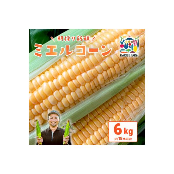 下妻産朝採りとうもろこし(ミエルコーン)約6kg 約15本前後入り 27年6月下旬から7月発送